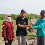 WA Bela Negara dan EneRC FT UNNES TAMBAK (Tanam Bakau) 2022