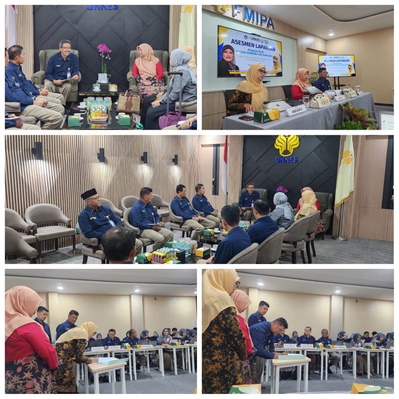 Assessment for the Undergraduate Program in Statistics and Data Science ...