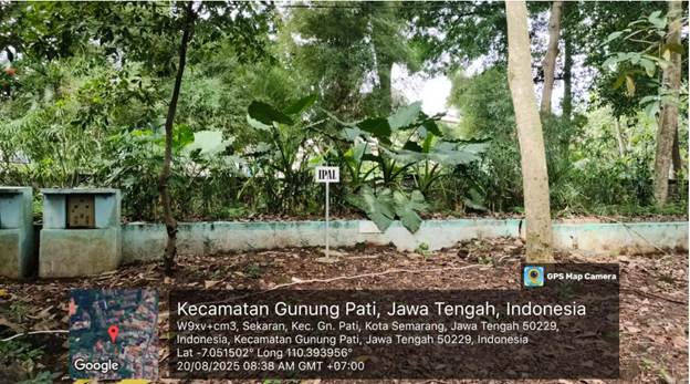 Green outdoor area with a WWTP sign at FMIPA UNNES.
