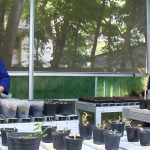 Participants arranging and caring for potted plant seedlings at an FMIPA UNNES Biology facility.