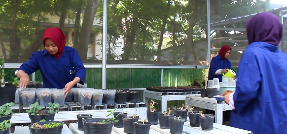Participants arranging and caring for potted plant seedlings at an FMIPA UNNES Biology facility.