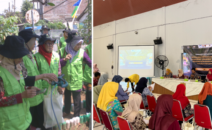 Sekelompok ibu mengenakan rompi hijau dan topi hitam sedang mengamati area tanaman di luar ruangan, berdampingan dengan foto suasana presentasi di dalam gedung.