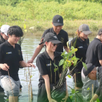 FMIPA UNNES students planting mangroves during Bentang Biru 2025 at Muara Kencana Beach, Kendal.