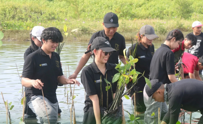 FMIPA UNNES students planting mangroves during Bentang Biru 2025 at Muara Kencana Beach, Kendal.