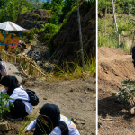 Kolase foto aktivitas penanaman pohon; sebelah kiri menampilkan sekelompok mahasiswa menanam di lereng tanah berundak, sementara sebelah kanan memperlihatkan seorang pria sedang menggunakan cangkul untuk menggali tanah di dekat bibit tanaman.
