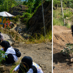 A photo collage of tree planting activities; the left side shows a group of students planting on a terraced soil slope, while the right side shows a man using a hoe to dig soil near a plant seedling.