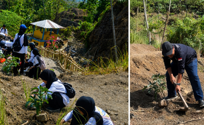 A photo collage of tree planting activities; the left side shows a group of students planting on a terraced soil slope, while the right side shows a man using a hoe to dig soil near a plant seedling.