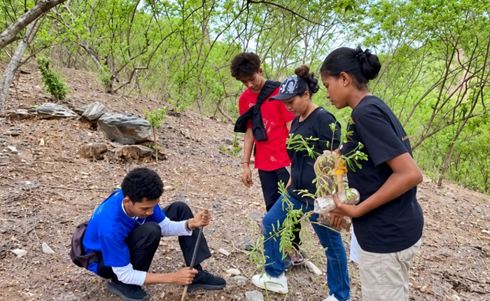 Four youths in a dry, sandy, and rocky hilly area. A young man in a blue shirt is crouching, digging the soil with a stick, while three others stand watching him, with one female holding a tree seedling ready to be planted.