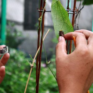 Pendidikan IPA UNNES
