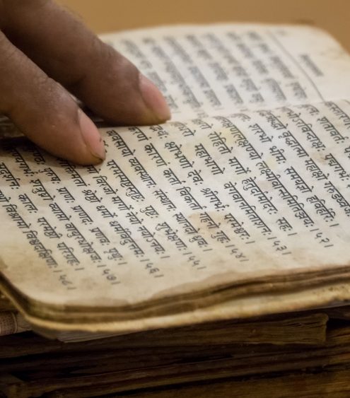 career prospects in Javanese literature