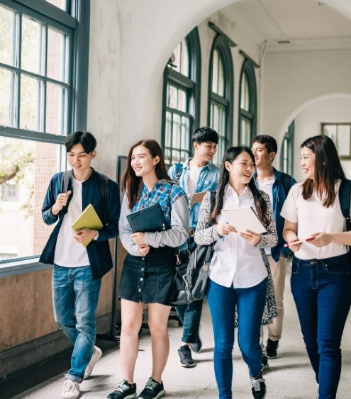 Requirements for PG-PAUD major