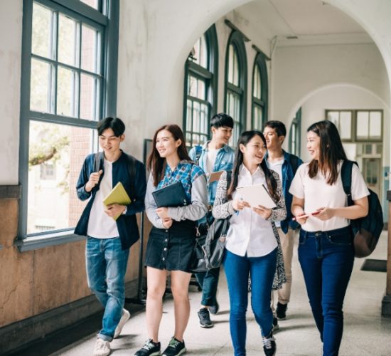 Requirements for PG-PAUD major