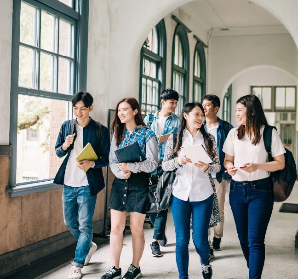 Requirements for PG-PAUD major