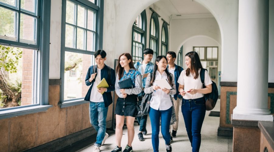 Requirements for PG-PAUD major