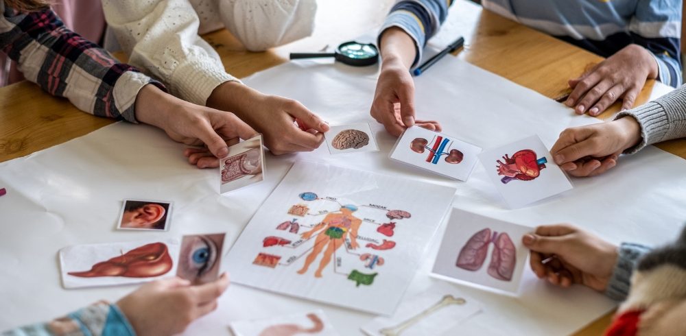 prospek kerja pendidikan biologi