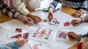 prospek kerja pendidikan biologi