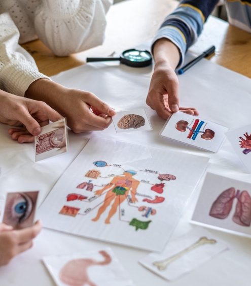 prospek kerja pendidikan biologi