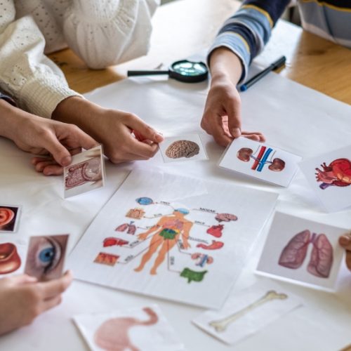 prospek kerja pendidikan biologi