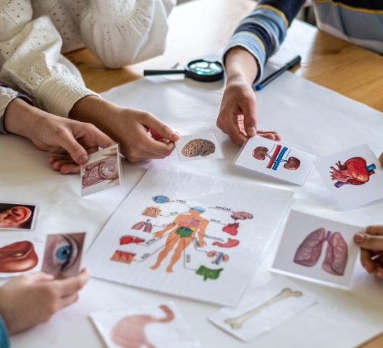 prospek kerja pendidikan biologi