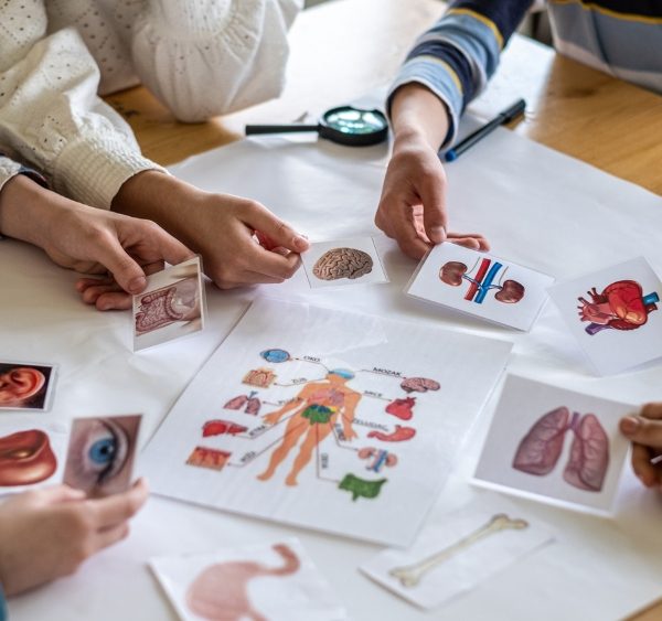 prospek kerja pendidikan biologi