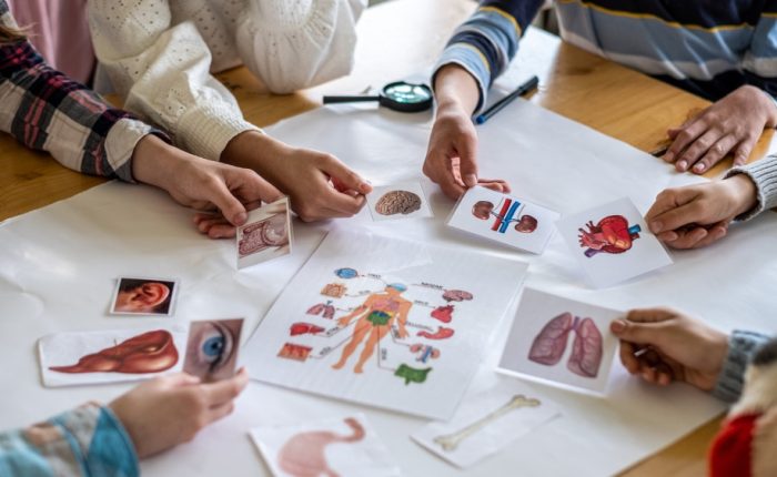 prospek kerja pendidikan biologi