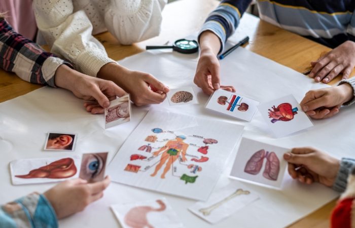 prospek kerja pendidikan biologi