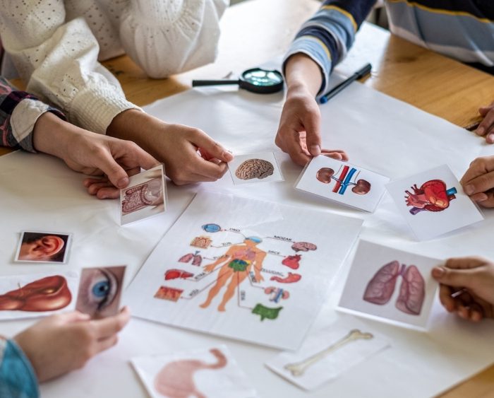 prospek kerja pendidikan biologi