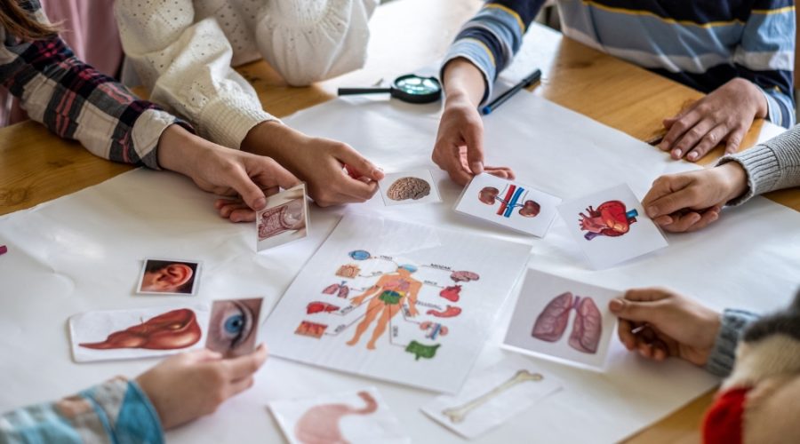 prospek kerja pendidikan biologi