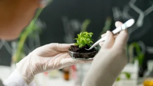 Pendidikan Biologi